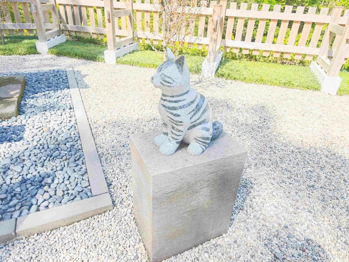 IMG_20250408_133916_副本.jpg IMG_20250408_133916_副本.jpg