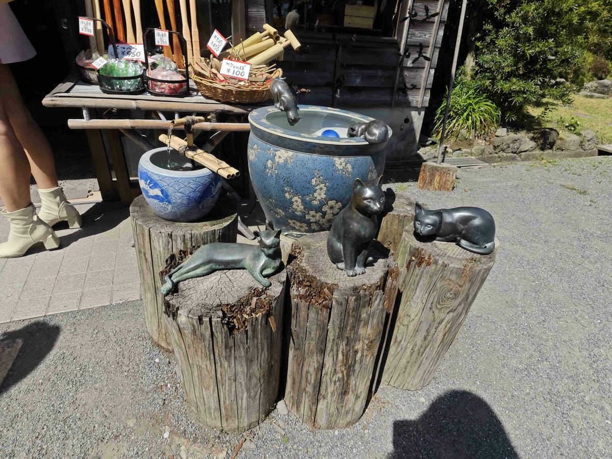 IMG_20250408_130916_副本.jpg IMG_20250408_130916_副本.jpg