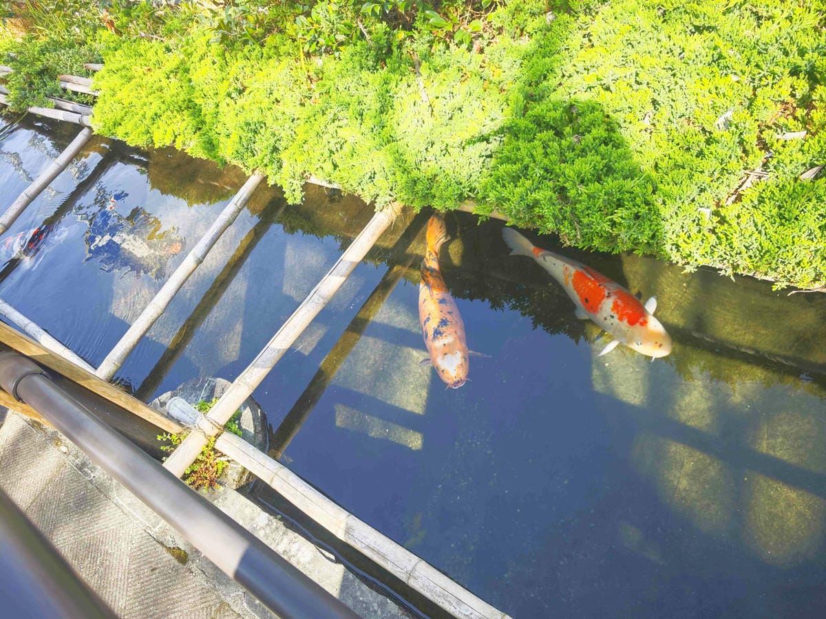 IMG_20250408_085731_副本.jpg IMG_20250408_085731_副本.jpg