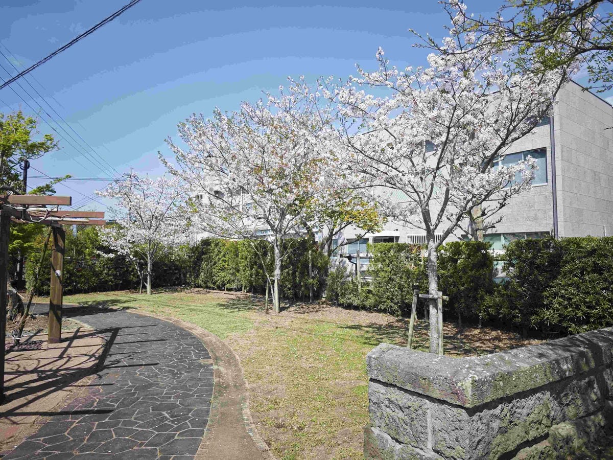 IMG_20250408_093058_副本.jpg IMG_20250408_093058_副本.jpg