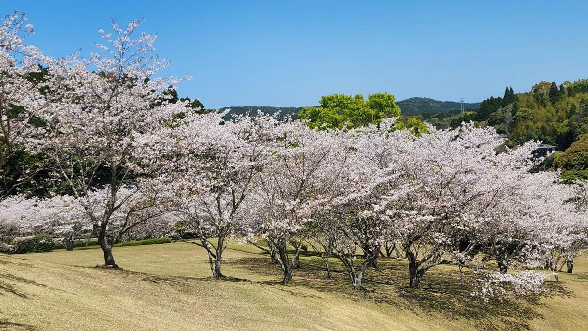 /tmp/phpX3Gzsj /tmp/phpX3Gzsj