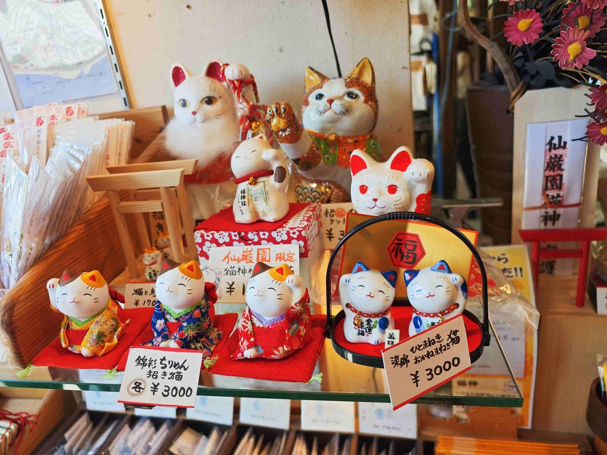 IMG_20250408_134859_副本.jpg IMG_20250408_134859_副本.jpg