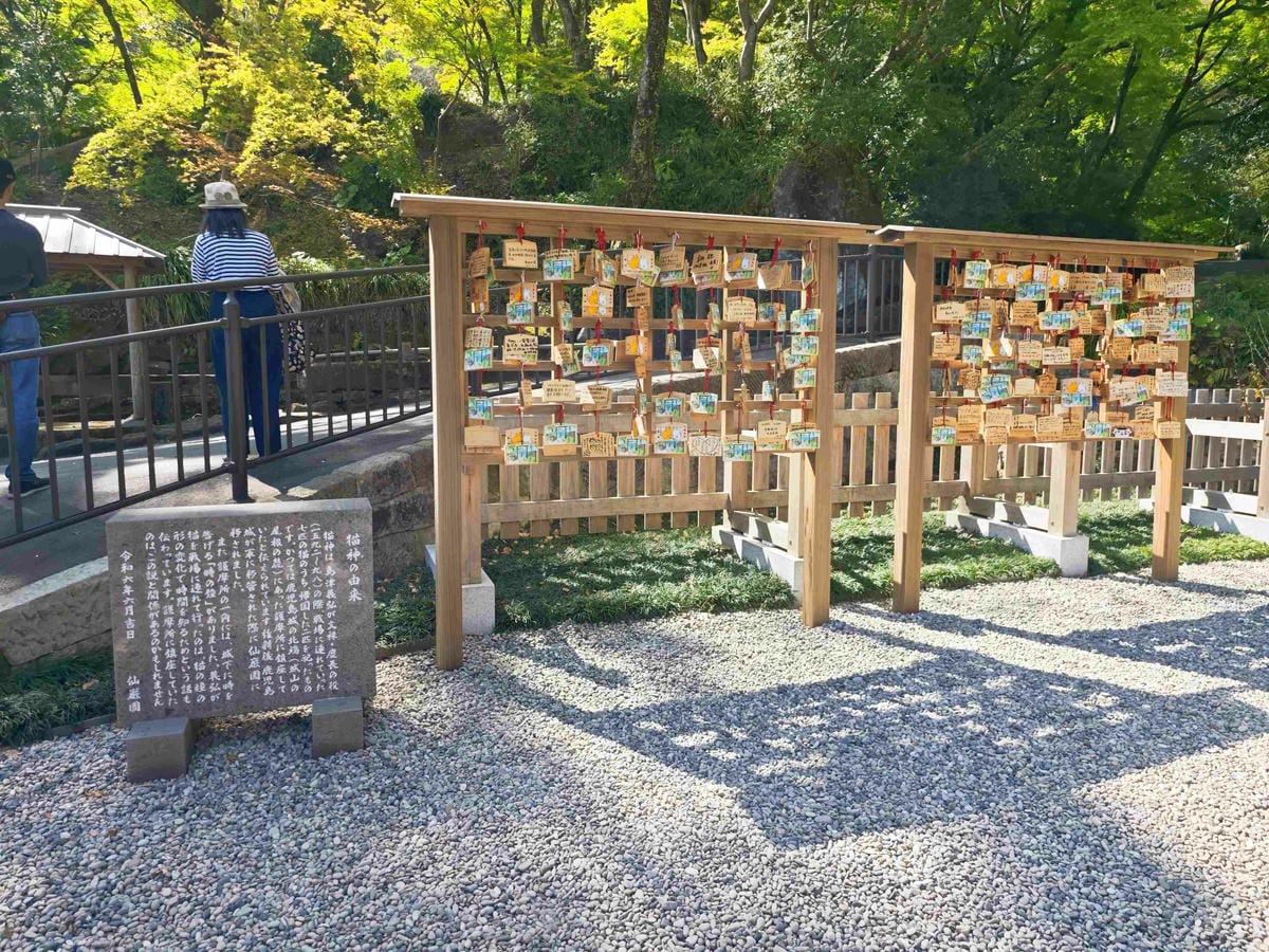 IMG_20250408_133850_副本.jpg IMG_20250408_133850_副本.jpg