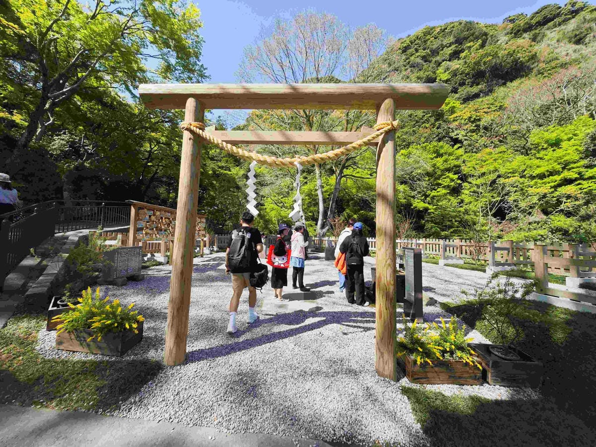 IMG_20250408_133804_副本.jpg IMG_20250408_133804_副本.jpg