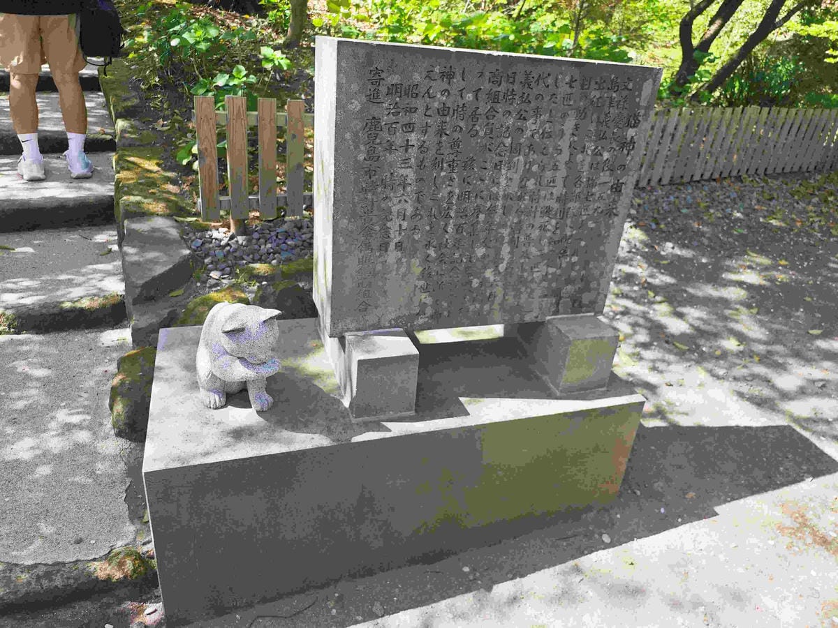 IMG_20250408_133659_副本.jpg IMG_20250408_133659_副本.jpg