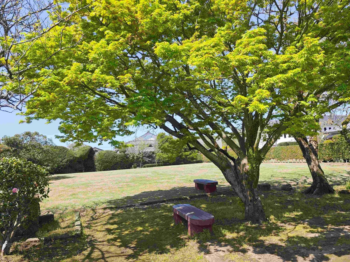 IMG_20250408_094202_副本.jpg IMG_20250408_094202_副本.jpg