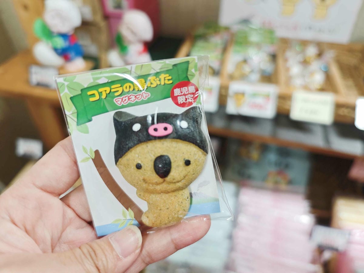 IMG_20250408_111618_副本.jpg IMG_20250408_111618_副本.jpg