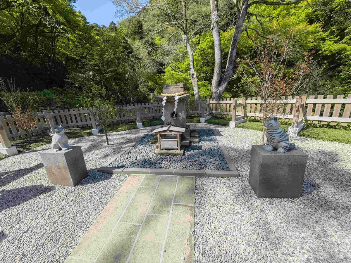 IMG_20250408_133923_副本.jpg IMG_20250408_133923_副本.jpg