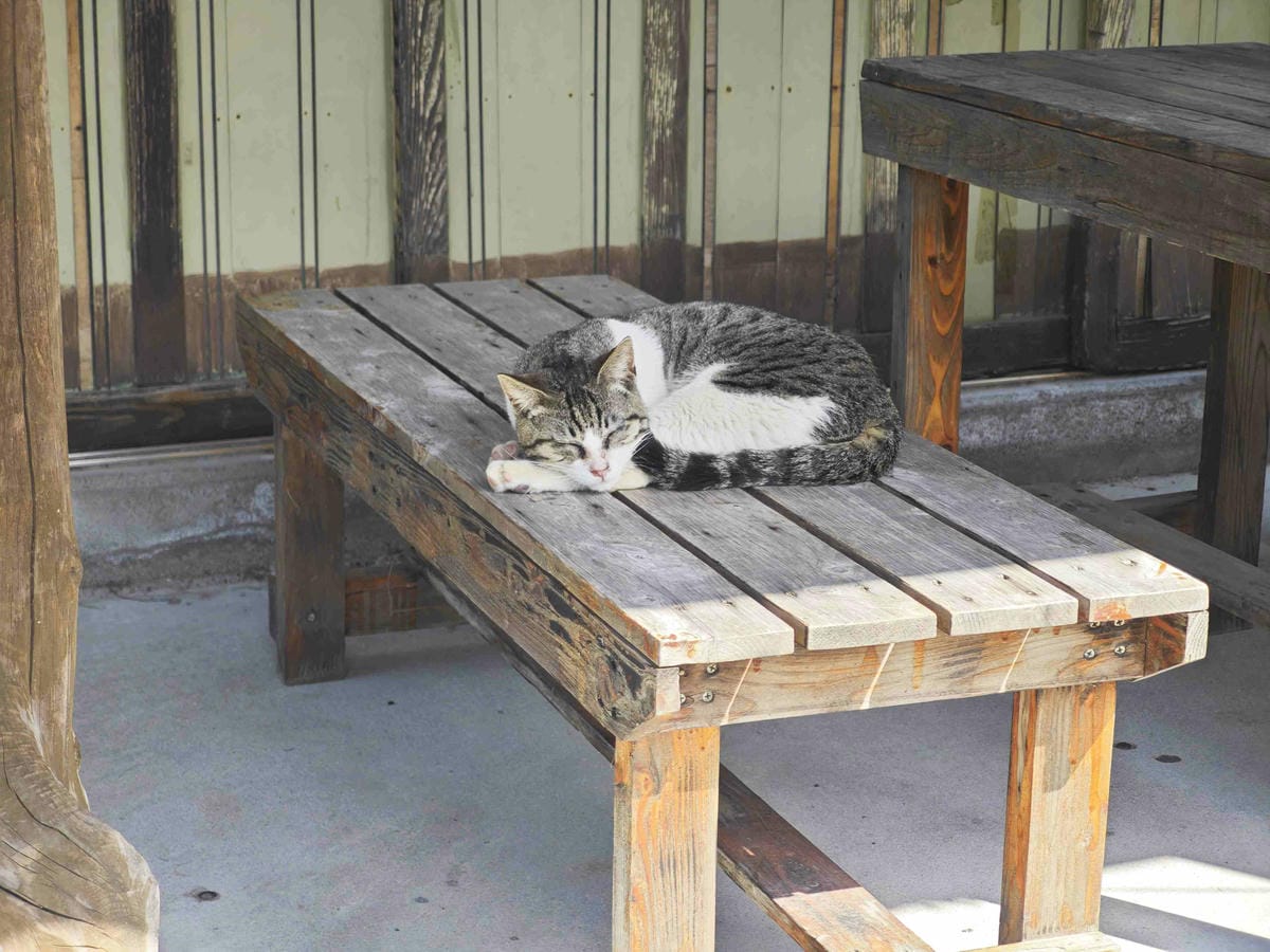 IMG_20250408_090254_副本.jpg IMG_20250408_090254_副本.jpg