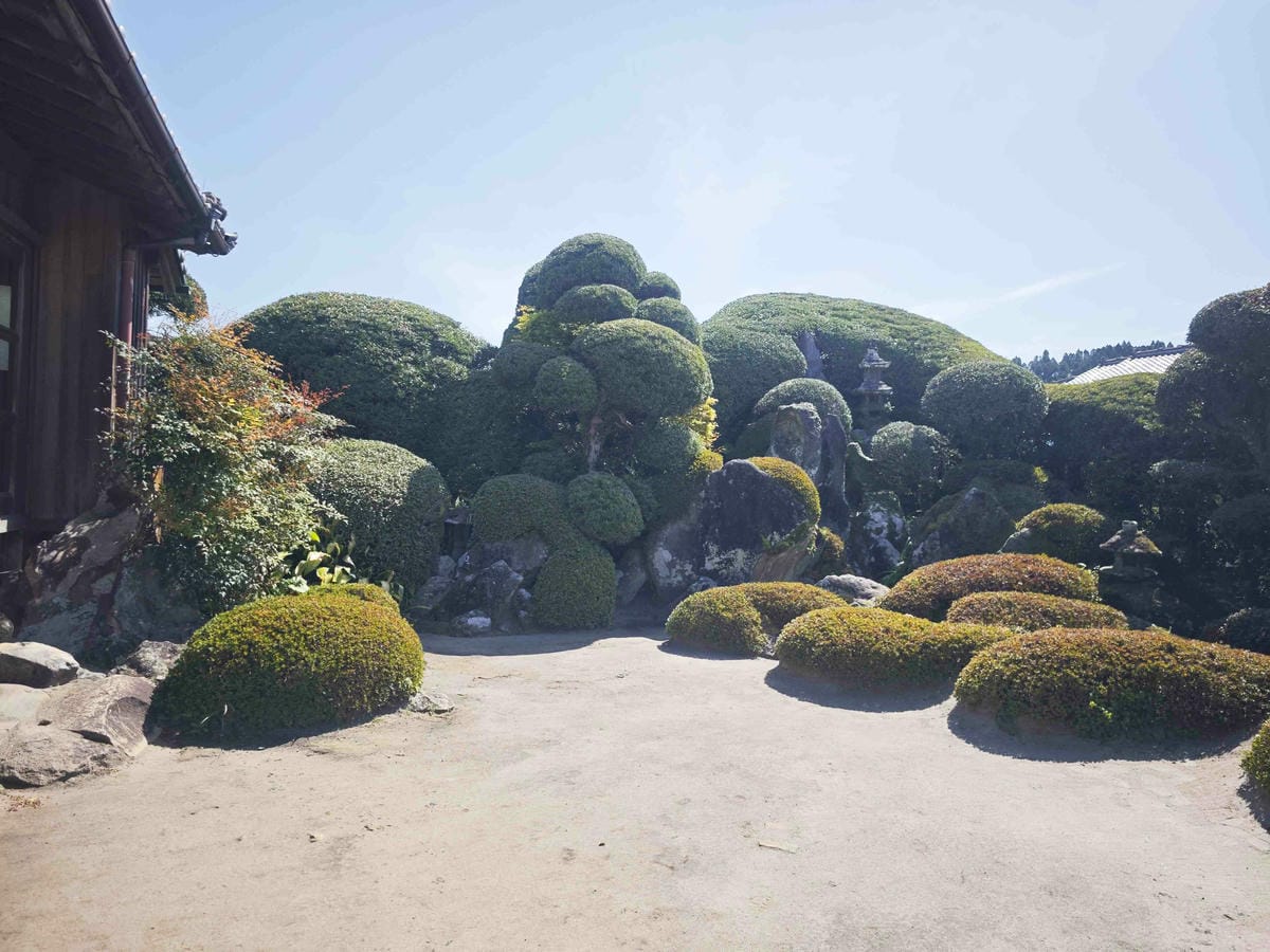 IMG_20250408_093308_副本.jpg IMG_20250408_093308_副本.jpg