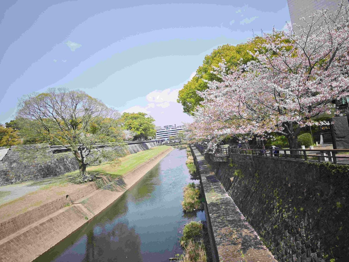 麗星郵輪岸上熊本 (63).jpg 麗星郵輪岸上熊本 (63).jpg