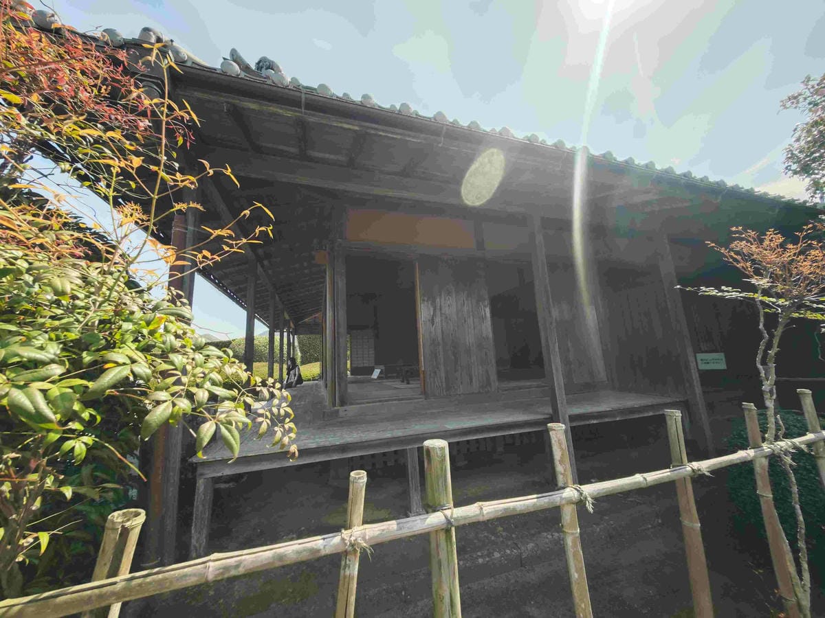 IMG_20250408_091502_副本.jpg IMG_20250408_091502_副本.jpg