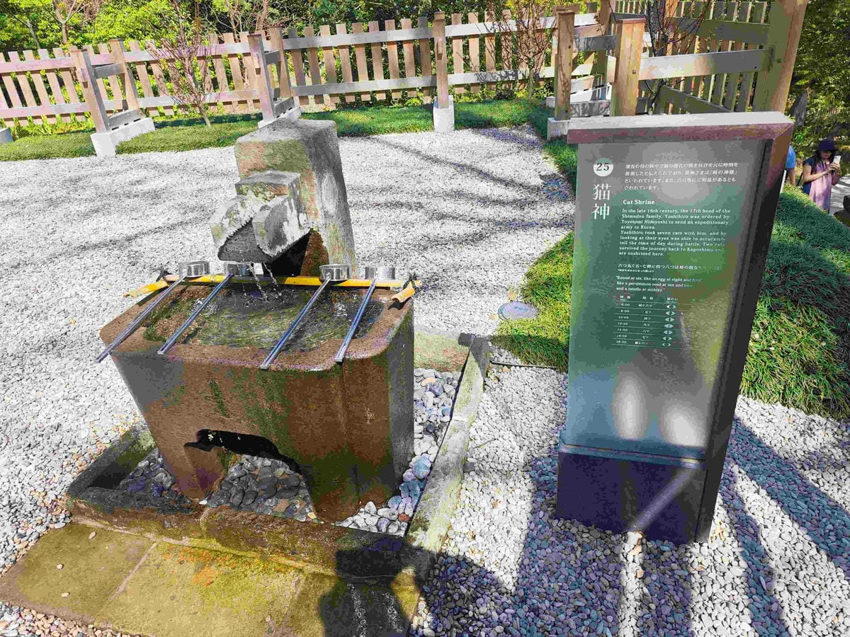 IMG_20250408_133847_副本.jpg IMG_20250408_133847_副本.jpg