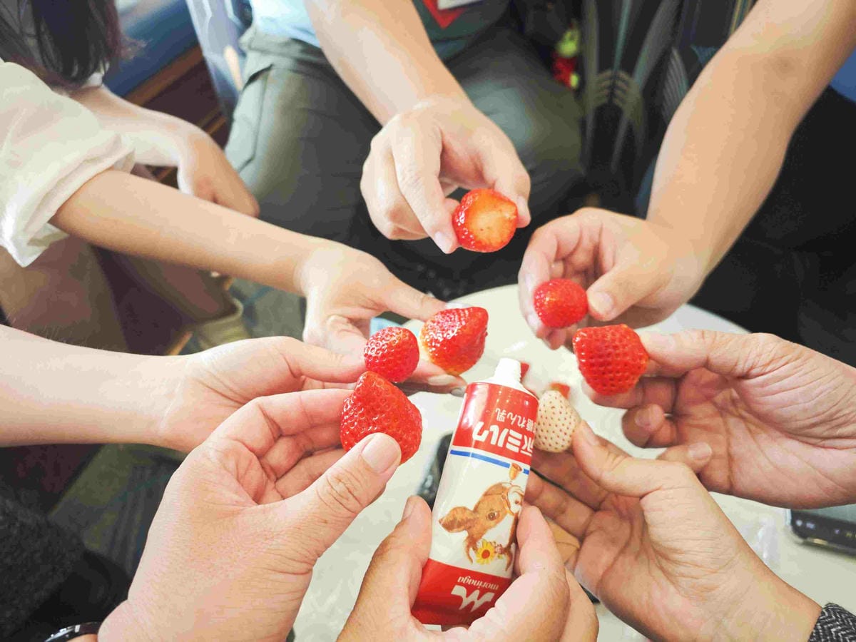 麗星郵輪岸上熊本 (73).jpg 麗星郵輪岸上熊本 (73).jpg