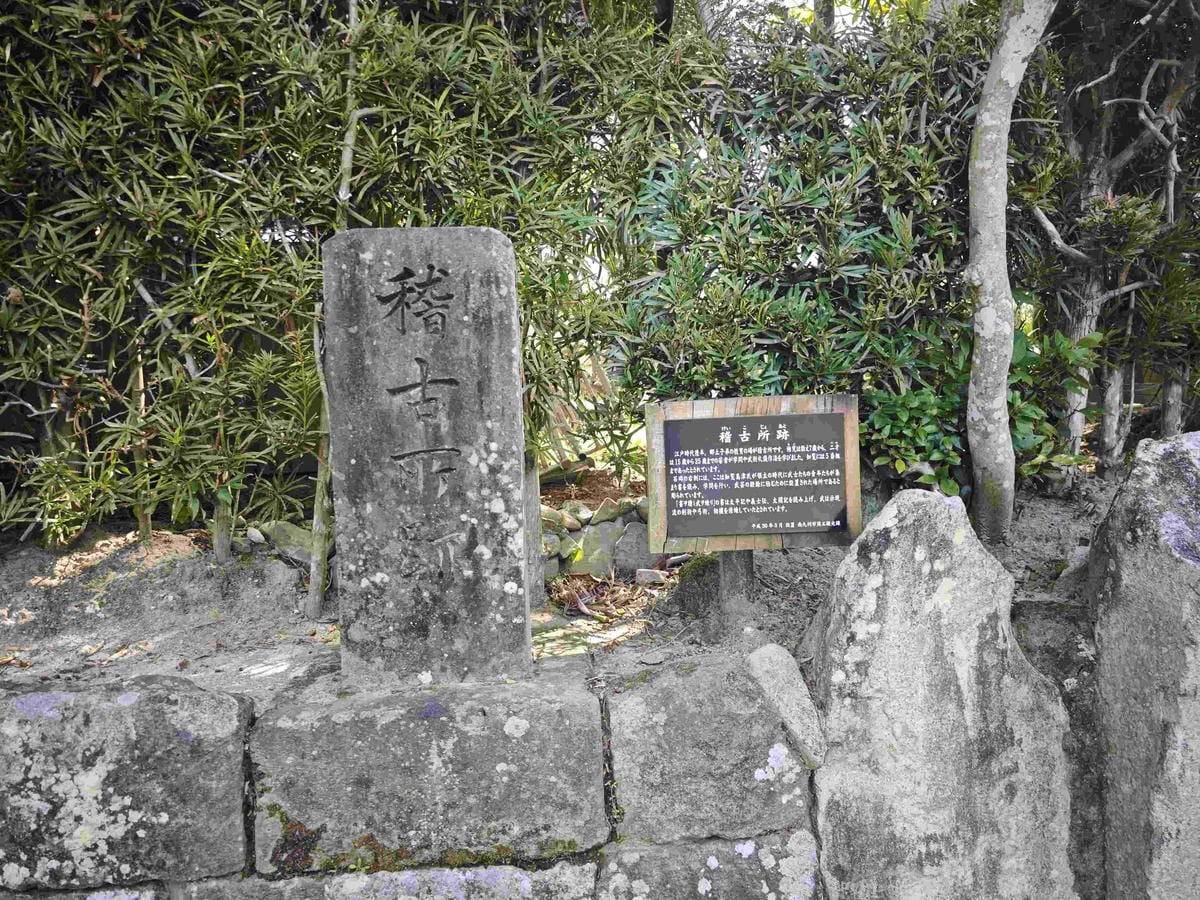 IMG_20250408_091033_副本.jpg IMG_20250408_091033_副本.jpg