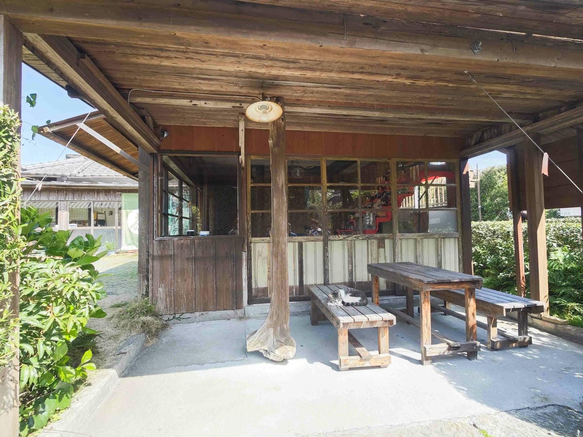 IMG_20250408_090233_副本.jpg IMG_20250408_090233_副本.jpg