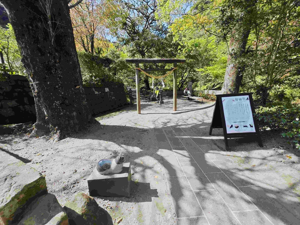 IMG_20250408_133612_副本.jpg IMG_20250408_133612_副本.jpg