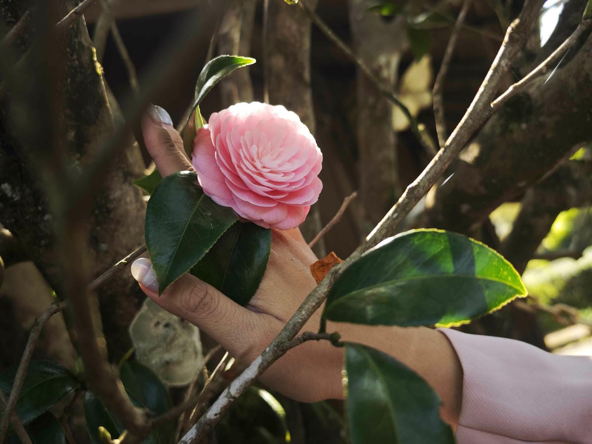 IMG_20250408_091905_副本.jpg IMG_20250408_091905_副本.jpg