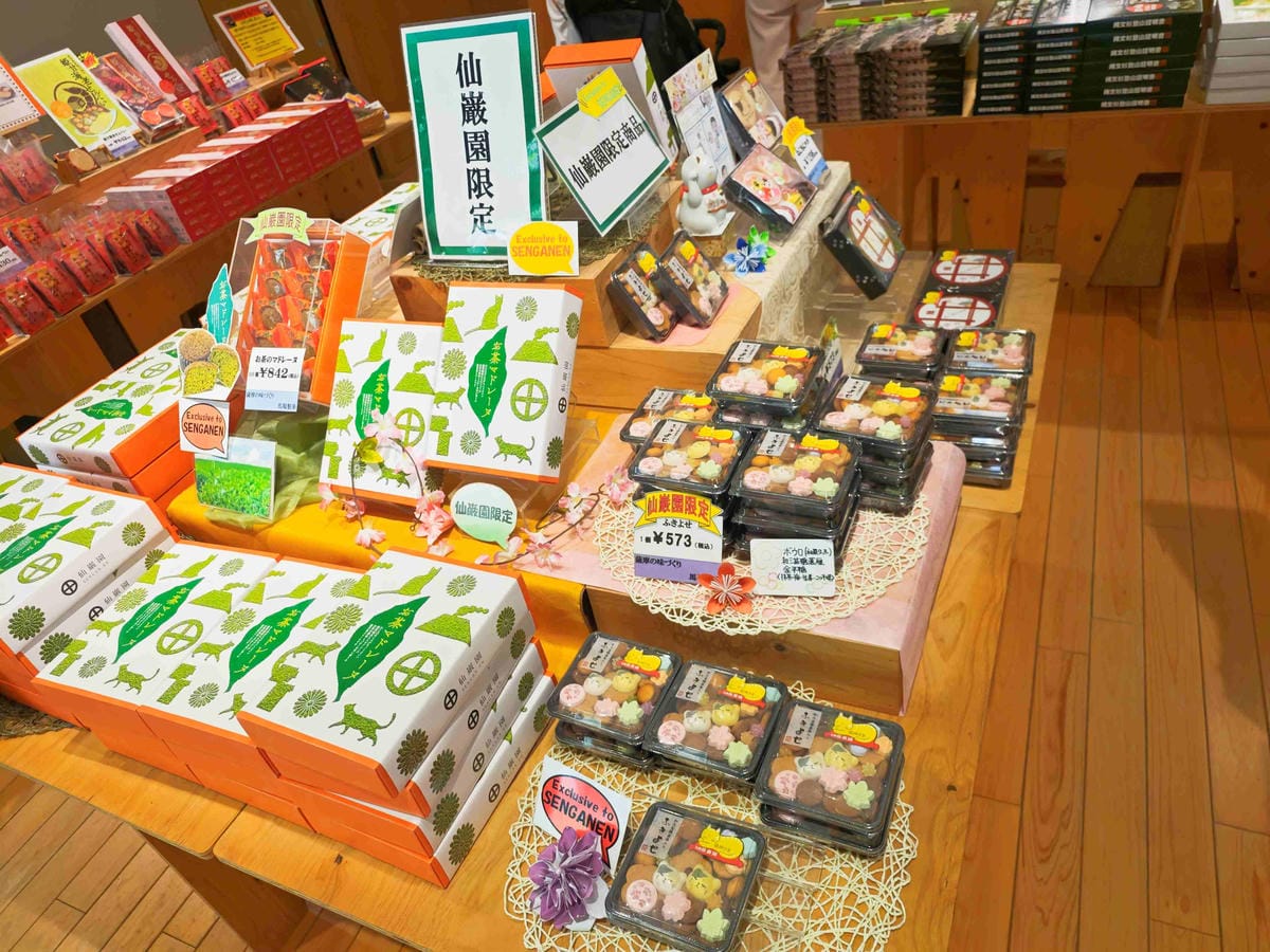 IMG_20250408_135941_副本.jpg IMG_20250408_135941_副本.jpg