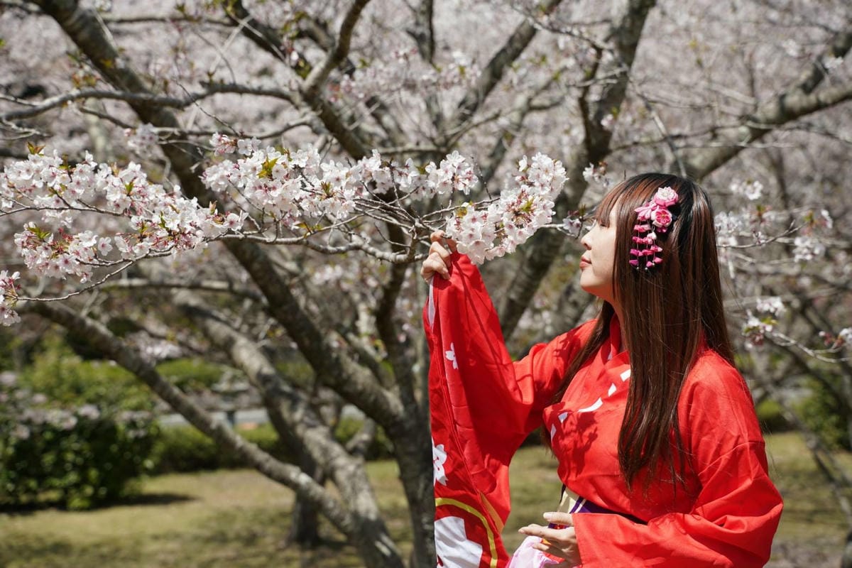 359314_0.jpg 359314_0.jpg