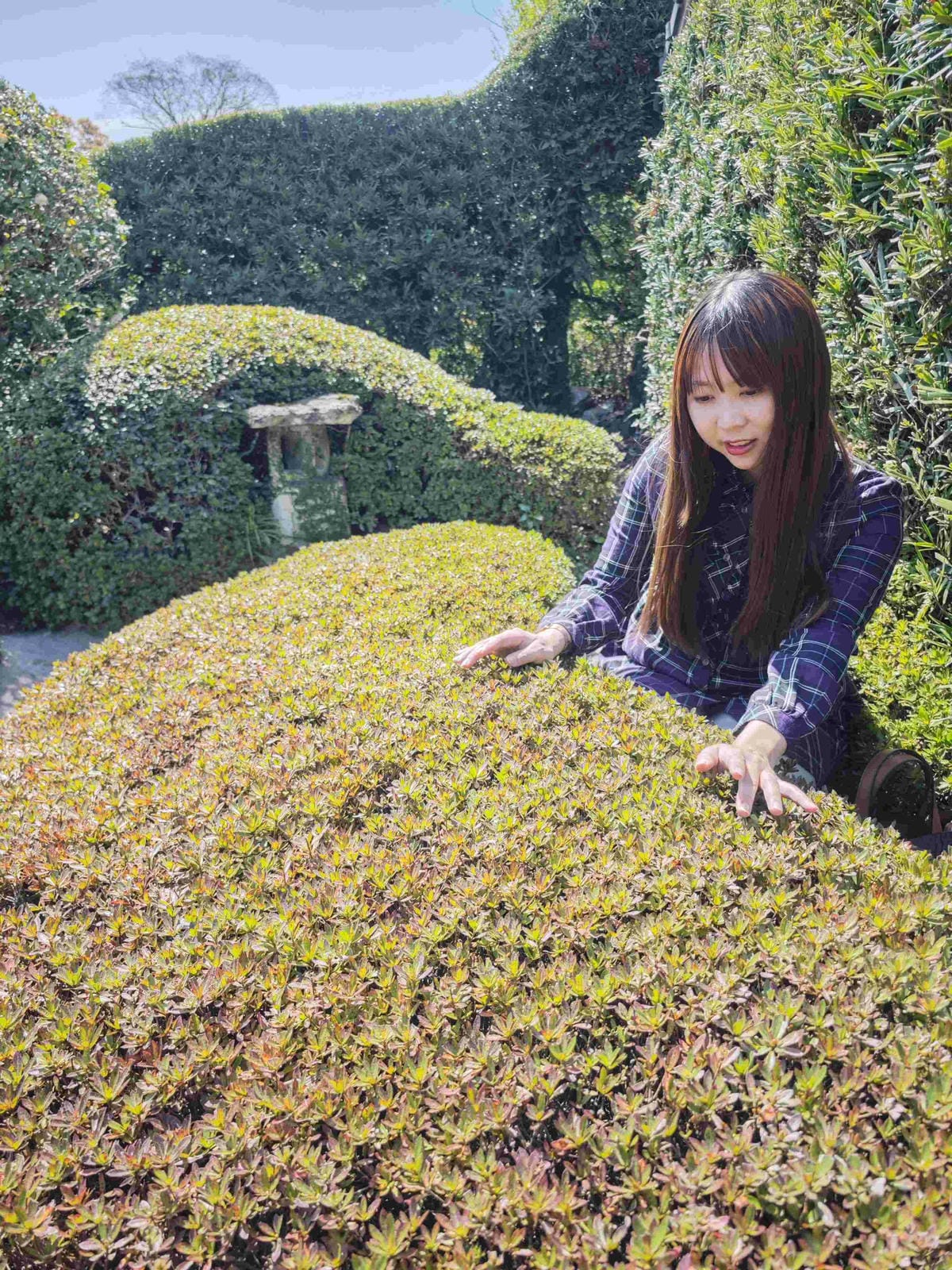 IMG_20250408_093514_副本.jpg IMG_20250408_093514_副本.jpg