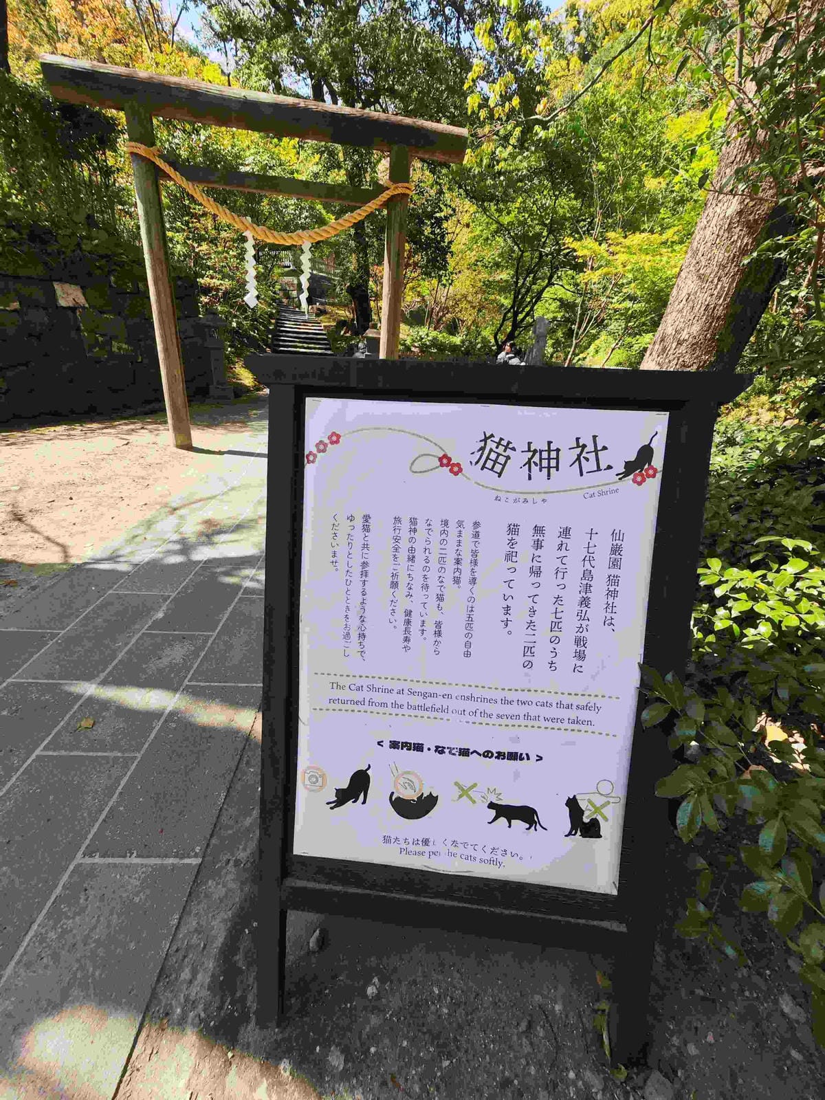 IMG_20250408_133619_副本.jpg IMG_20250408_133619_副本.jpg