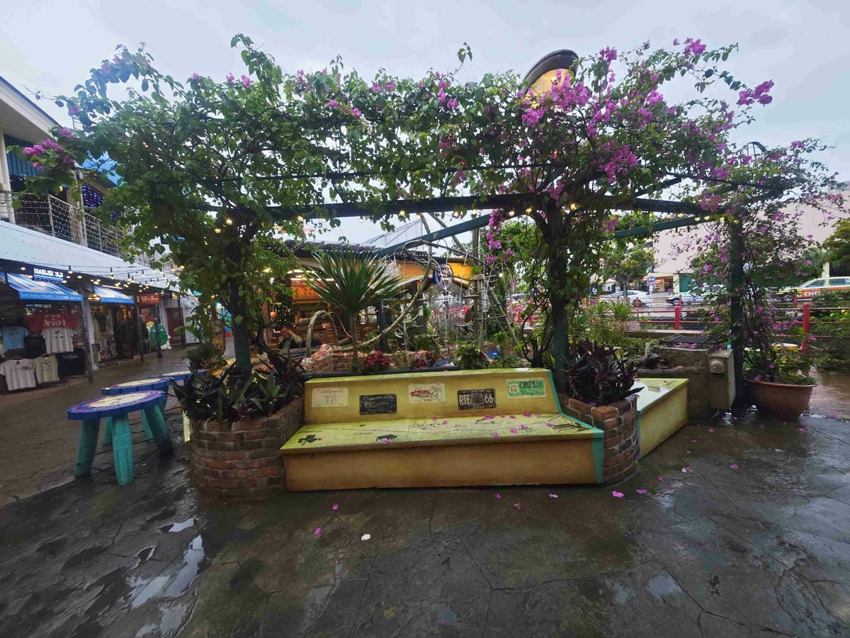 麗星郵輪探索星號 (12).jpg 麗星郵輪探索星號 (12).jpg