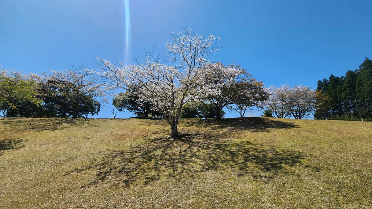 /tmp/php2psC7v /tmp/php2psC7v