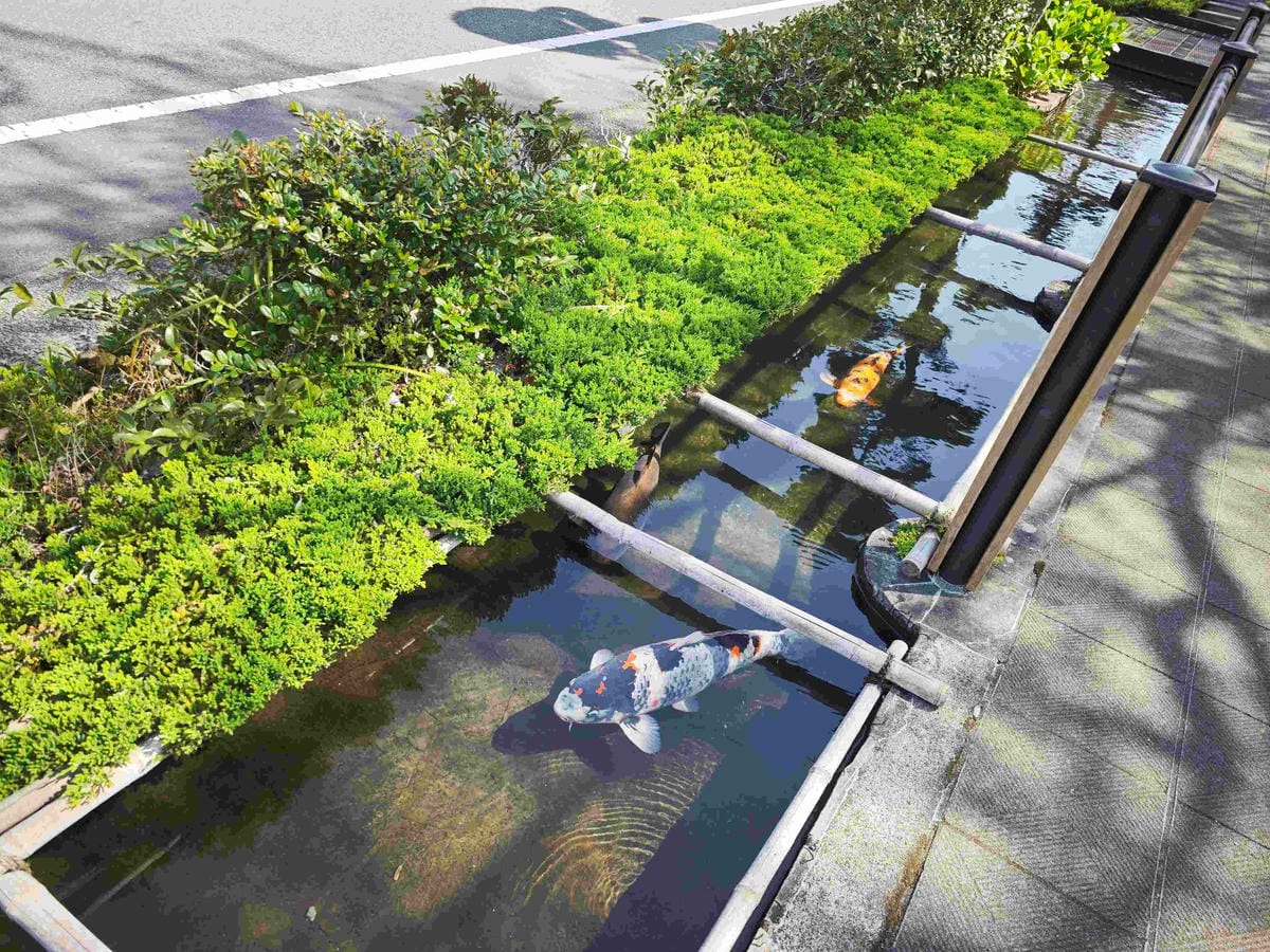 IMG_20250408_085640_副本.jpg IMG_20250408_085640_副本.jpg