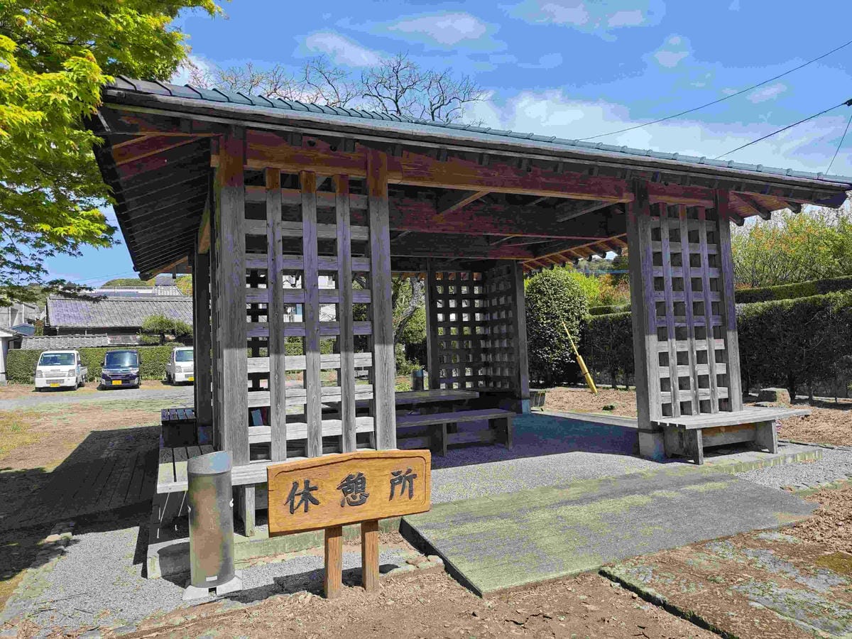 IMG_20250408_094156_副本.jpg IMG_20250408_094156_副本.jpg