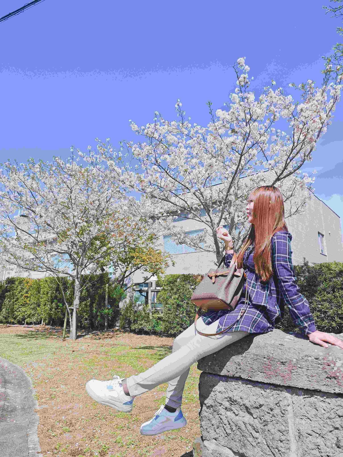 MEITU_20250408_100709070_副本.jpg MEITU_20250408_100709070_副本.jpg