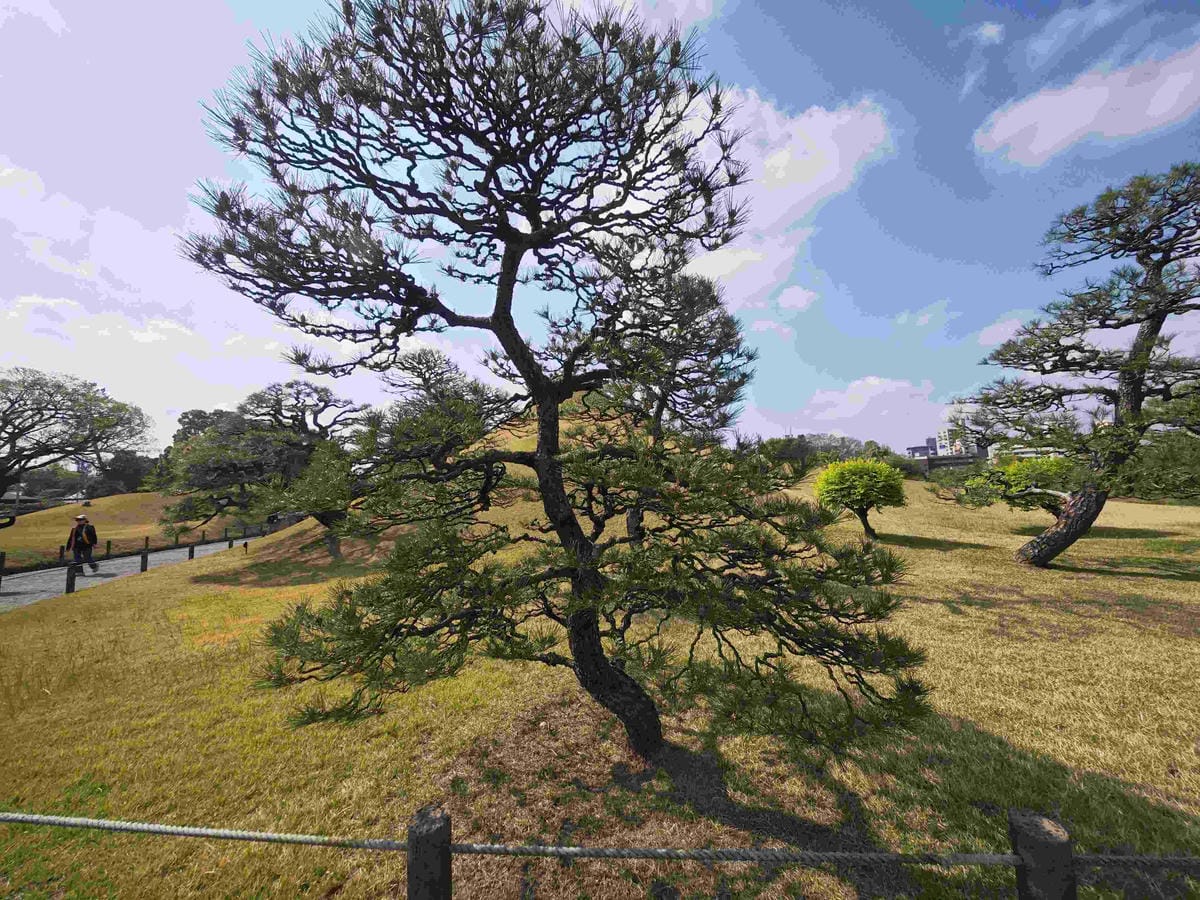 麗星郵輪岸上熊本 (31).jpg 麗星郵輪岸上熊本 (31).jpg