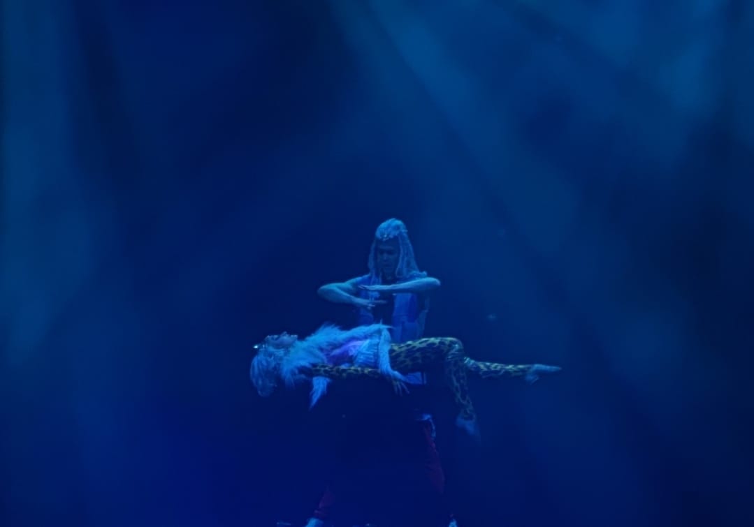 麗星郵輪探索星號舞台秀 (14).jpg