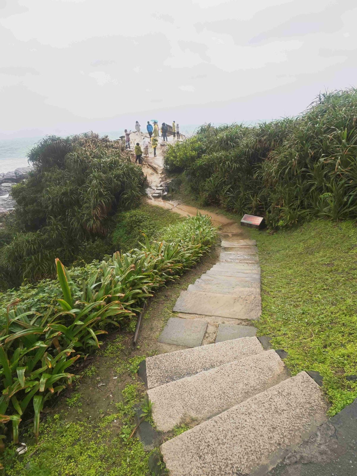 新北漫遊指南重訪瑞芳礦山黃金歲月 (30).jpg