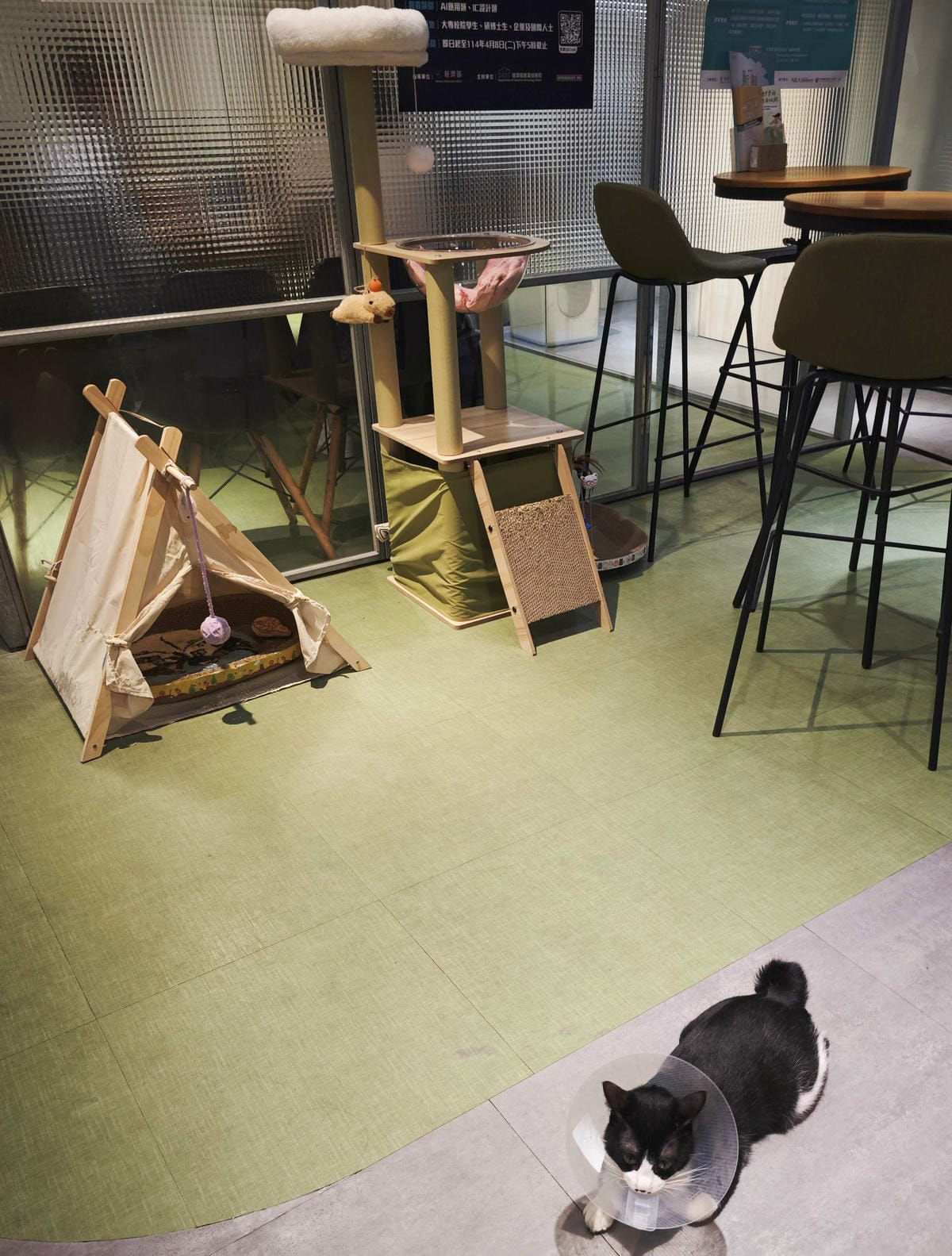 HOUR JUNGLE共享空間 (9).jpg HOUR JUNGLE共享空間 (9).jpg