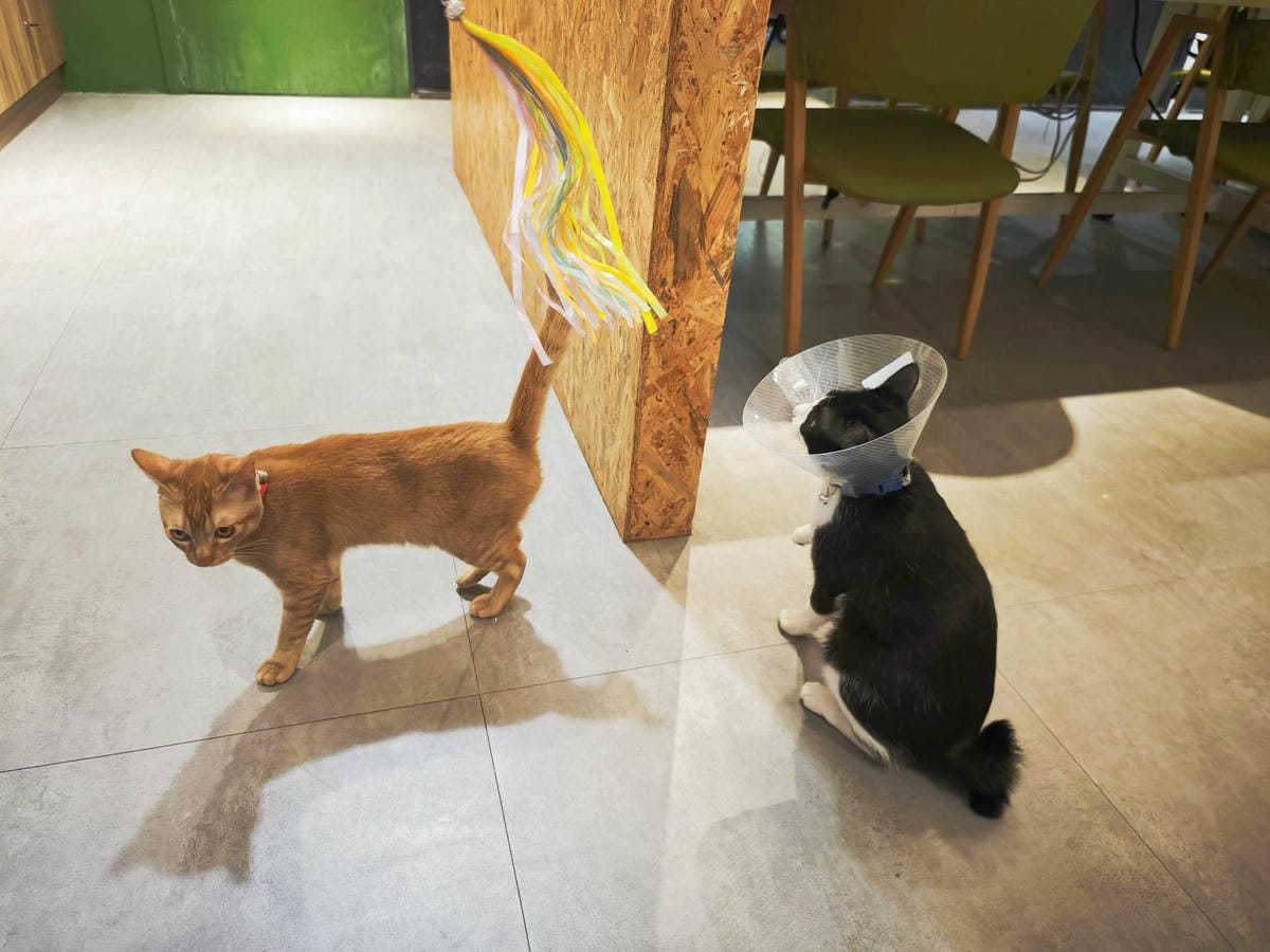 HOUR JUNGLE共享空間 (47).jpg HOUR JUNGLE共享空間 (47).jpg