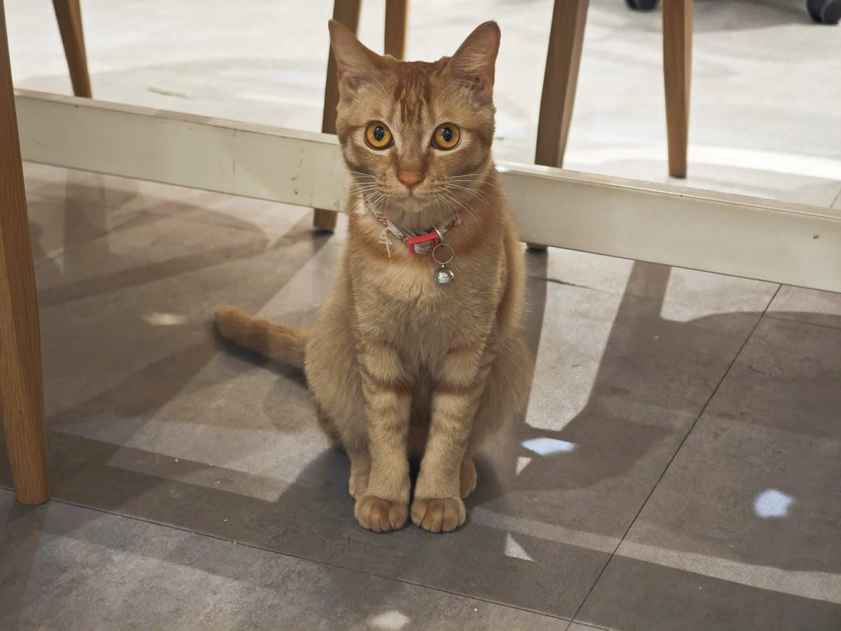 HOUR JUNGLE共享空間 (18).jpg HOUR JUNGLE共享空間 (18).jpg