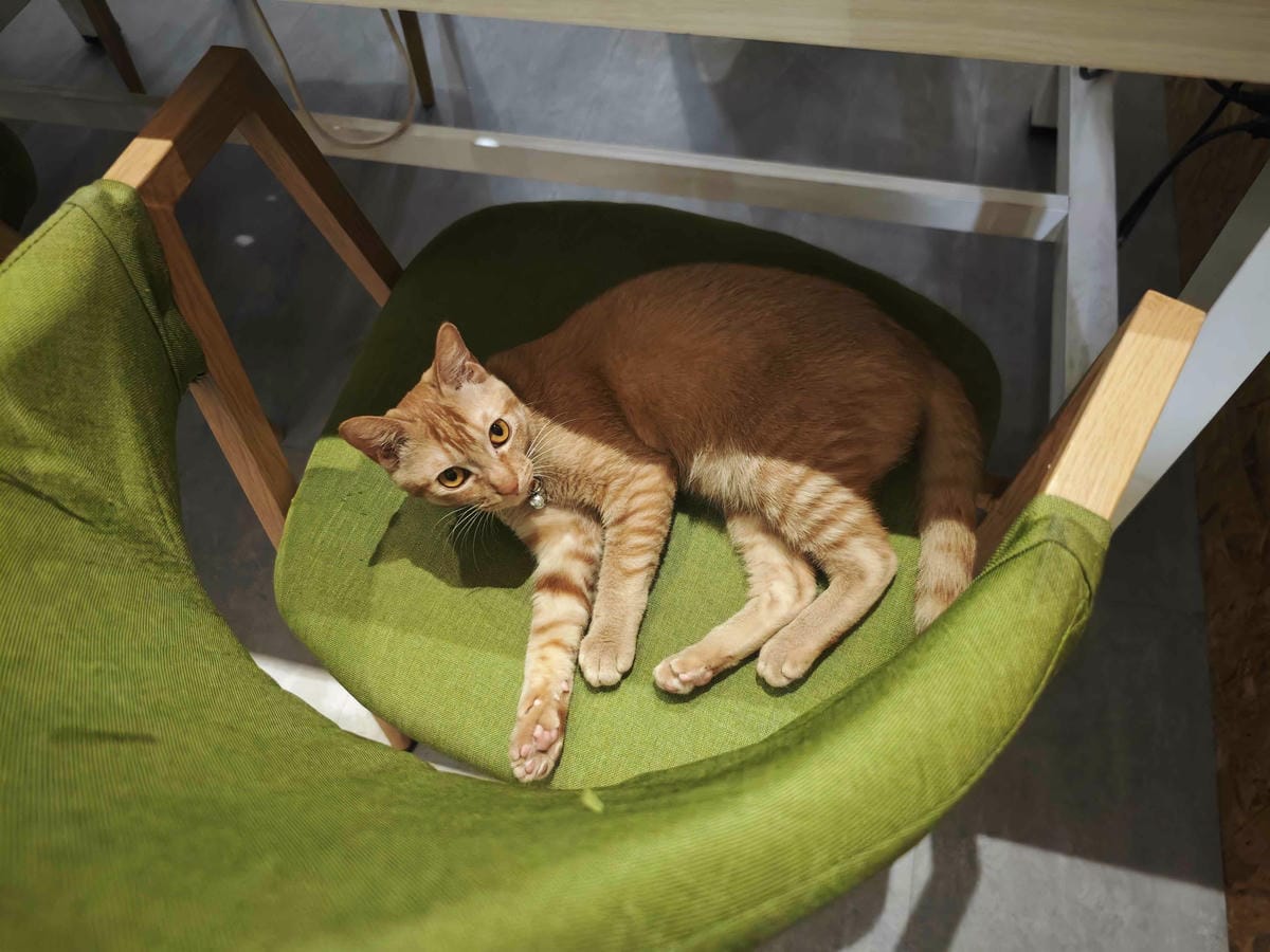 HOUR JUNGLE共享空間 (49).jpg HOUR JUNGLE共享空間 (49).jpg