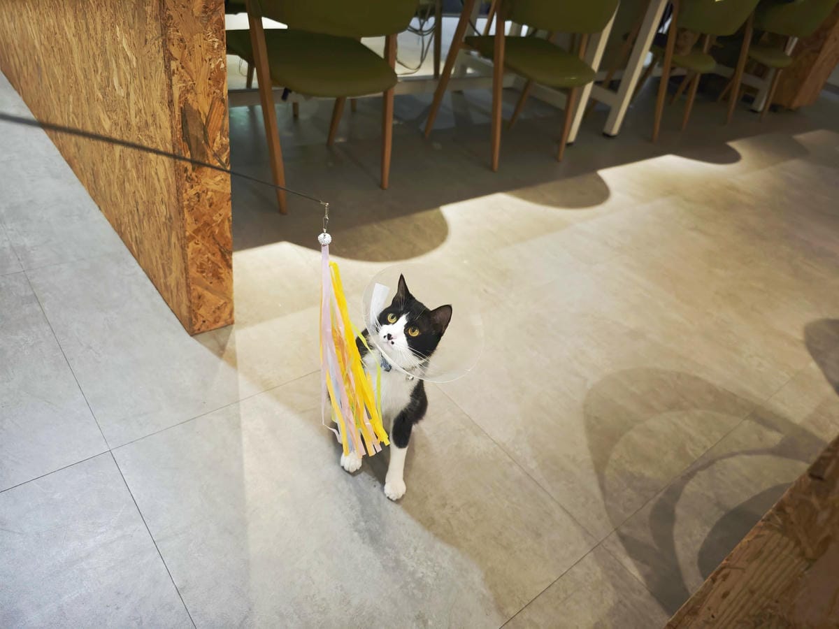 HOUR JUNGLE共享空間 (46).jpg HOUR JUNGLE共享空間 (46).jpg