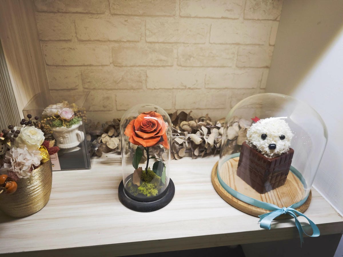 HOUR JUNGLE共享空間 (28).jpg HOUR JUNGLE共享空間 (28).jpg