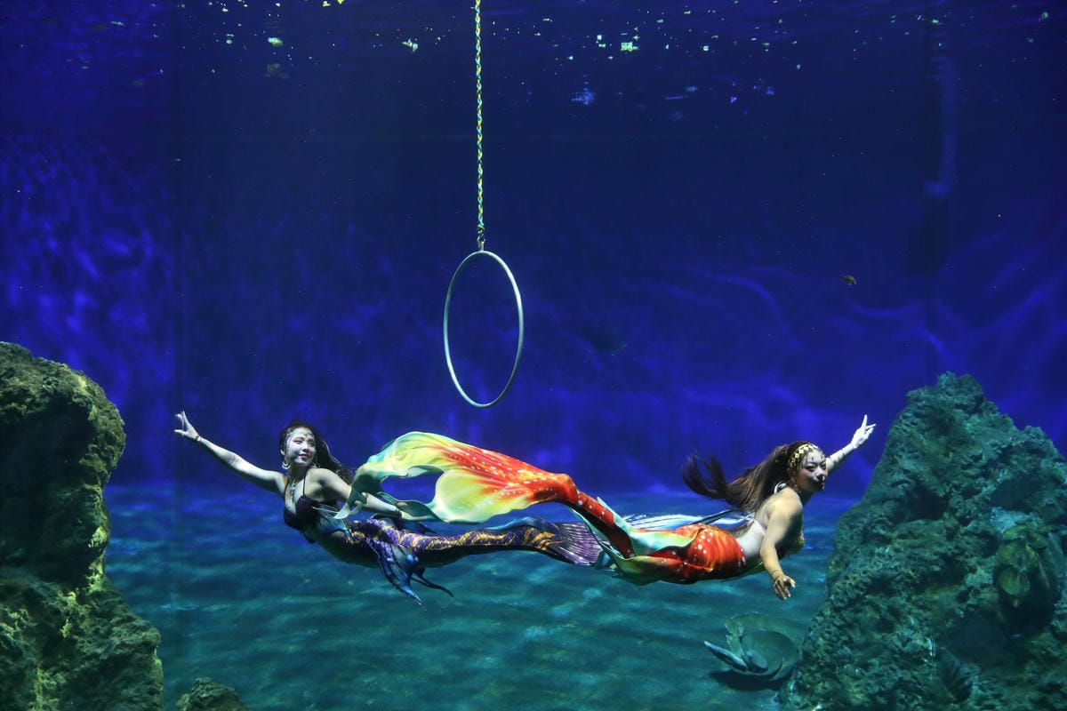 美人魚化身海洋守護大使2_副本.jpg 美人魚化身海洋守護大使2_副本.jpg