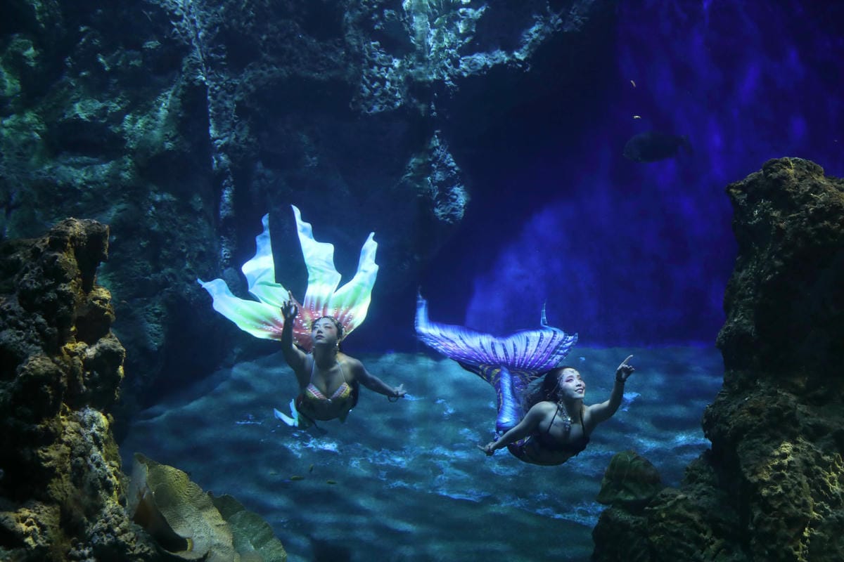 美人魚化身海洋守護大使_副本.jpg 美人魚化身海洋守護大使_副本.jpg