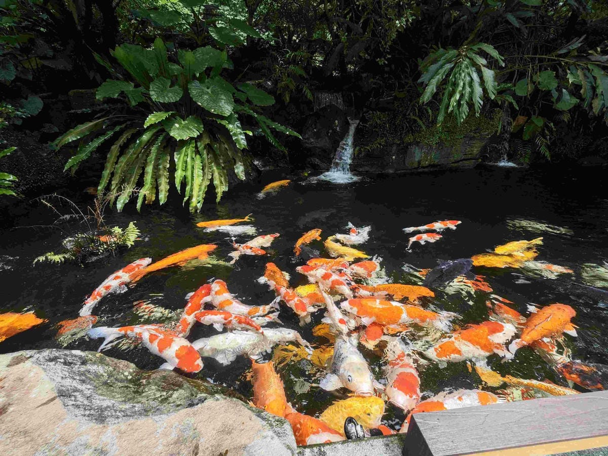 大板根溫泉主題房與恐龍劇團 (386)_副本.jpg 大板根溫泉主題房與恐龍劇團 (386)_副本.jpg