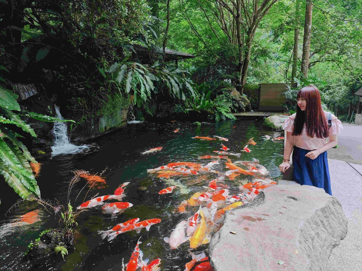 大板根溫泉主題房與恐龍劇團 (381)_副本.jpg 大板根溫泉主題房與恐龍劇團 (381)_副本.jpg