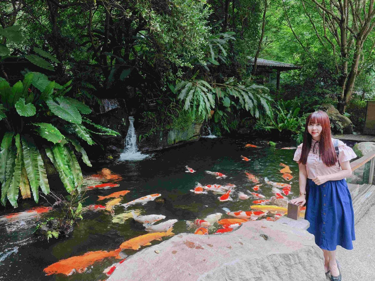 大板根溫泉主題房與恐龍劇團 (382)_副本.jpg 大板根溫泉主題房與恐龍劇團 (382)_副本.jpg