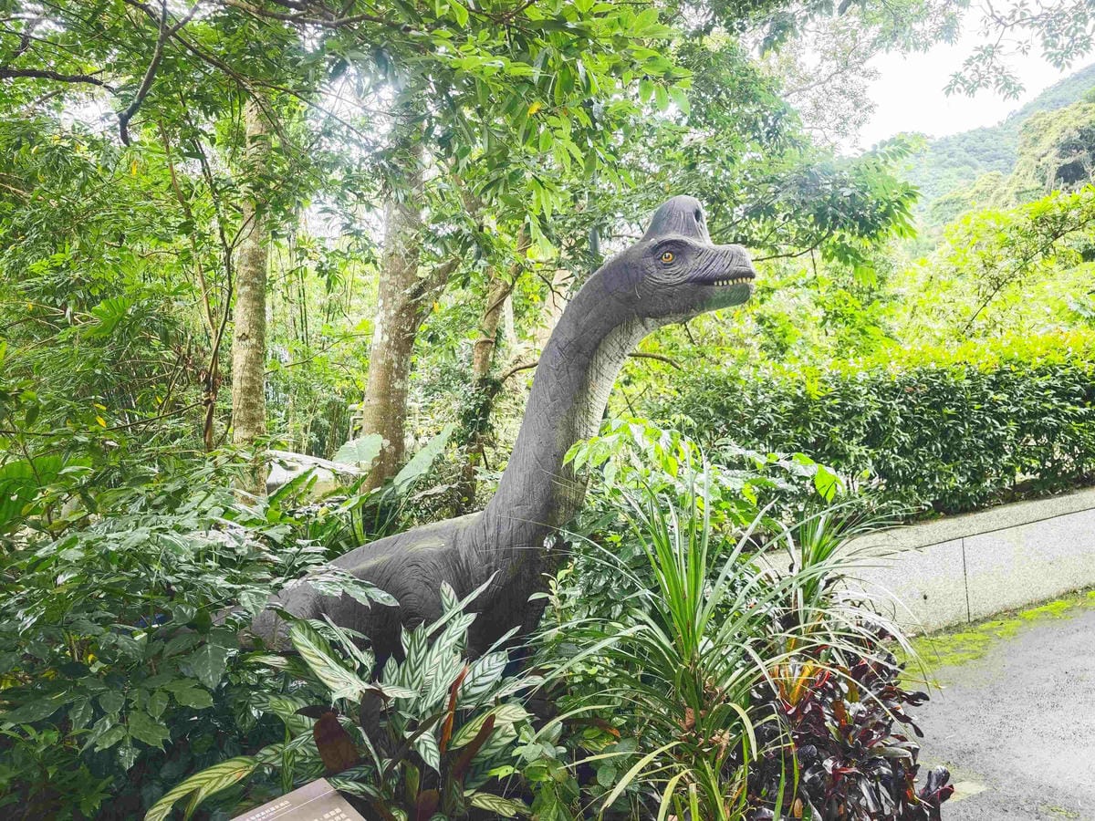 大板根溫泉主題房與恐龍劇團 (357)_副本.jpg 大板根溫泉主題房與恐龍劇團 (357)_副本.jpg