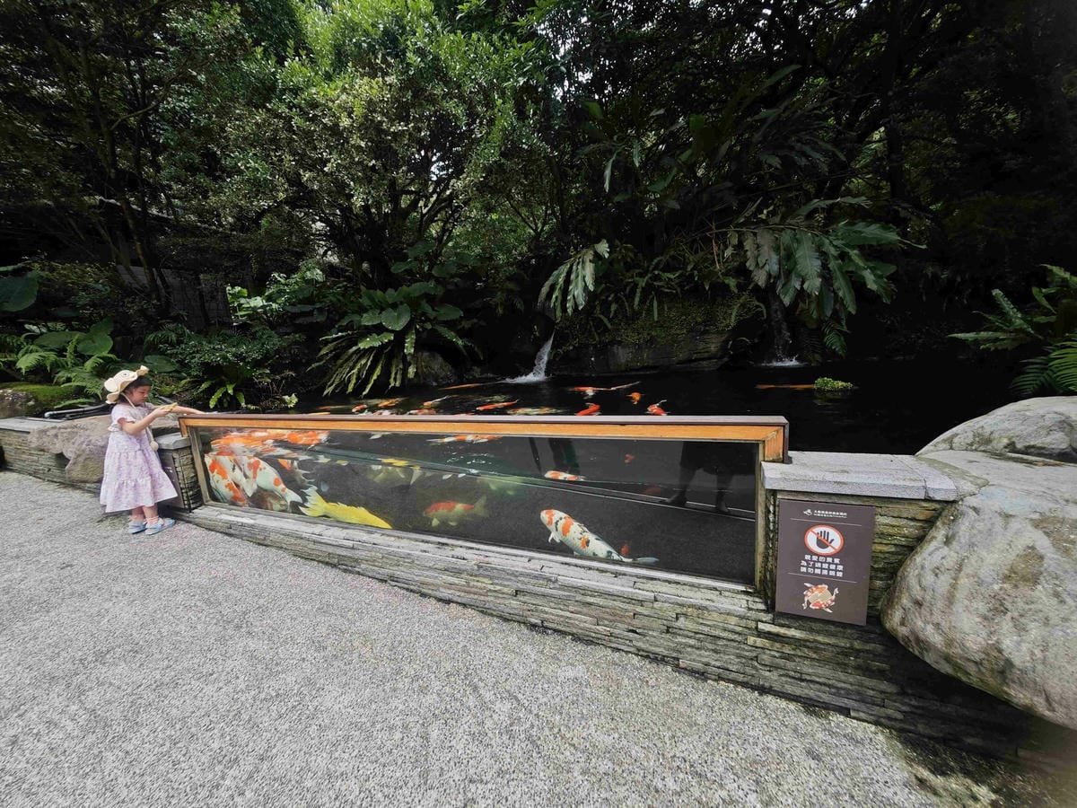 大板根溫泉主題房與恐龍劇團 (388)_副本.jpg 大板根溫泉主題房與恐龍劇團 (388)_副本.jpg