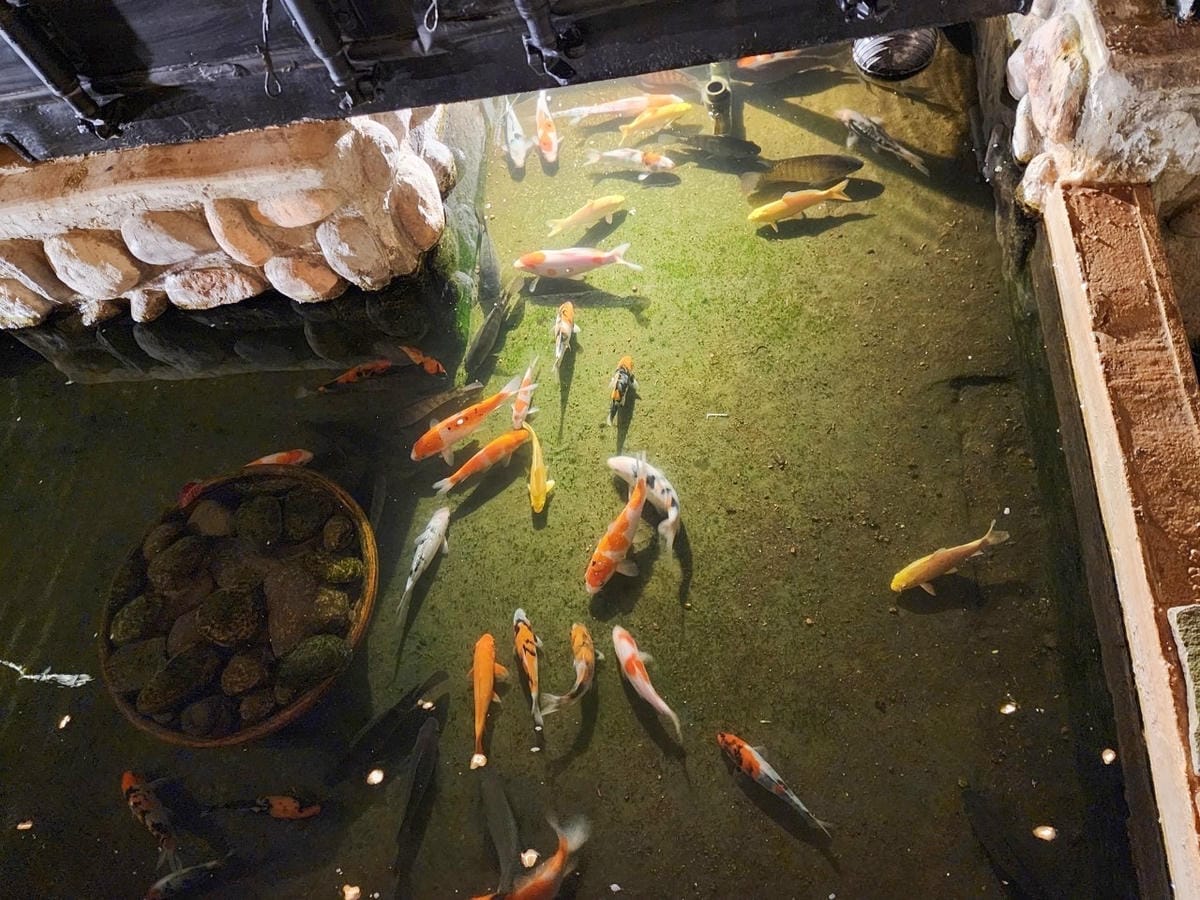 見山 (53).jpg 見山 (53).jpg