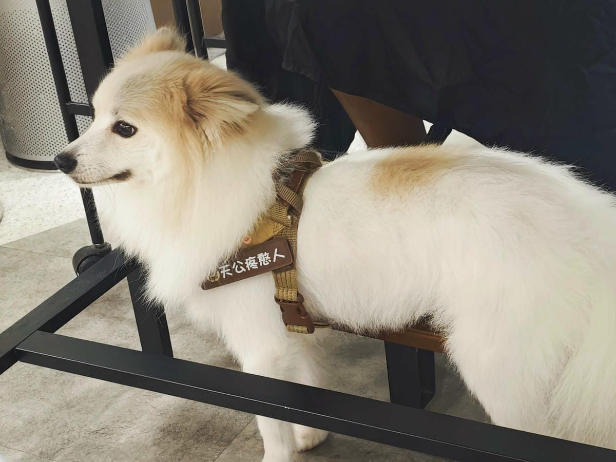 SPARKLING HAIR SALON (9).jpg SPARKLING HAIR SALON (9).jpg