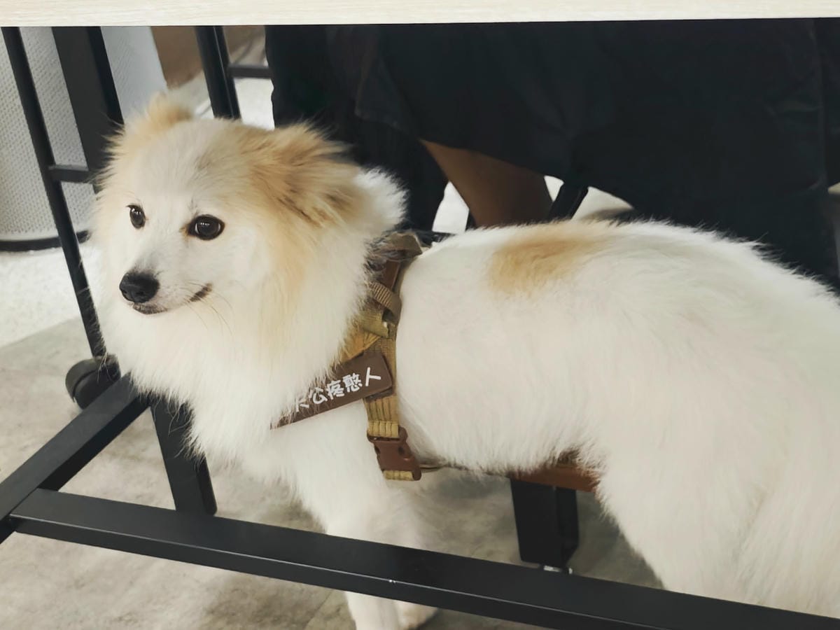 SPARKLING HAIR SALON (10).jpg SPARKLING HAIR SALON (10).jpg